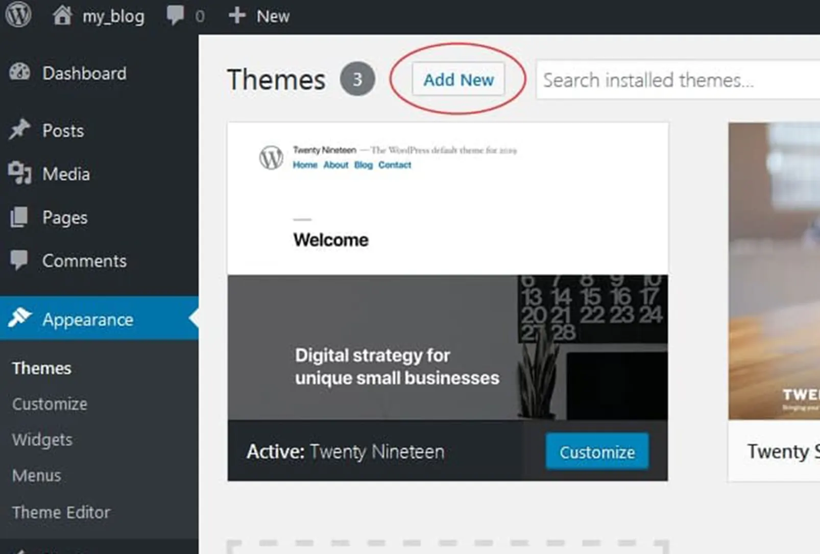 WordPress Experts in India